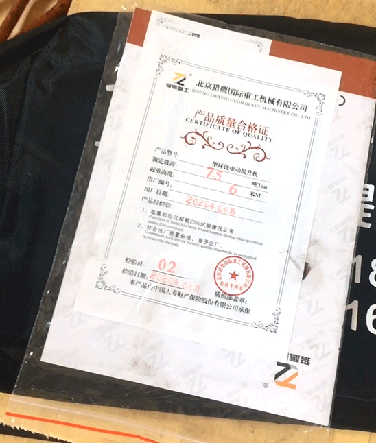爬架電動葫蘆
