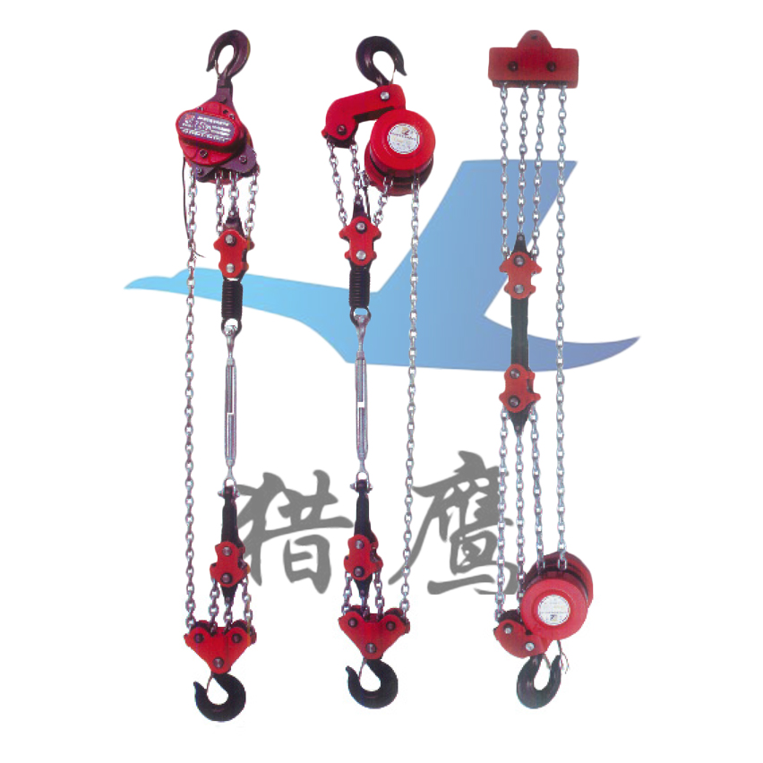 DHP-G型環鏈電動提升機