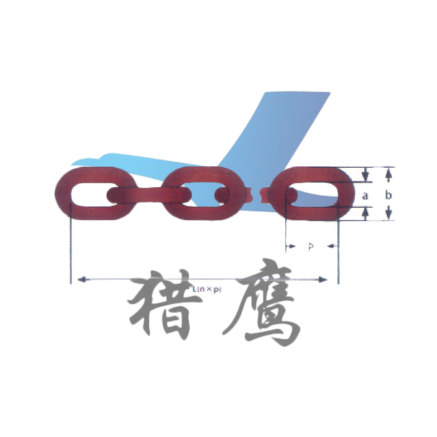 T級( T、DAT和DT型)高精度葫蘆鏈( T級數據)